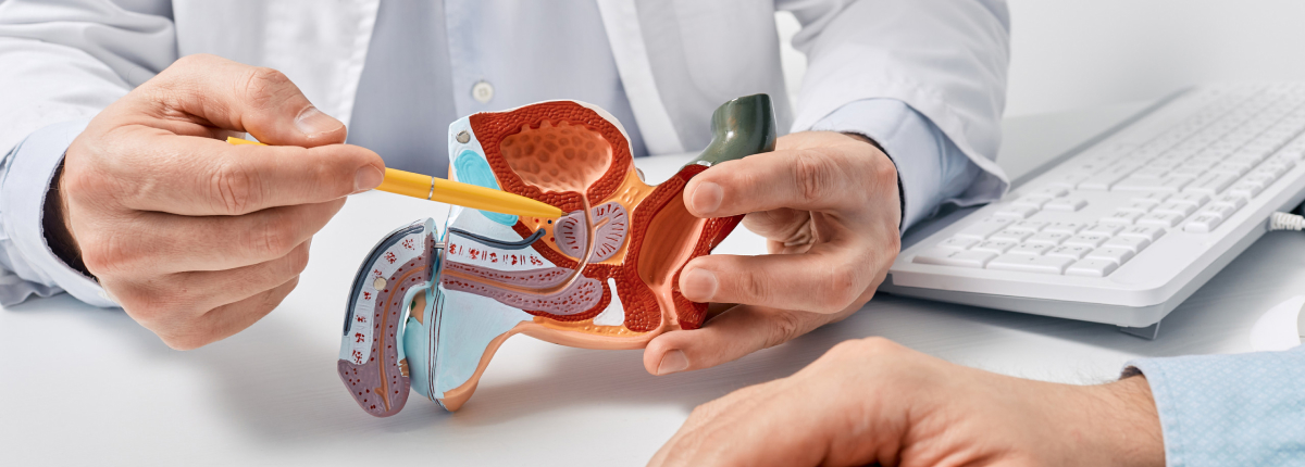Urologia Roma